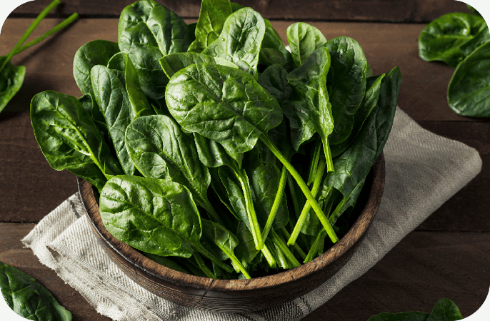 Slim oogsten: de beste methode voor spinazie.