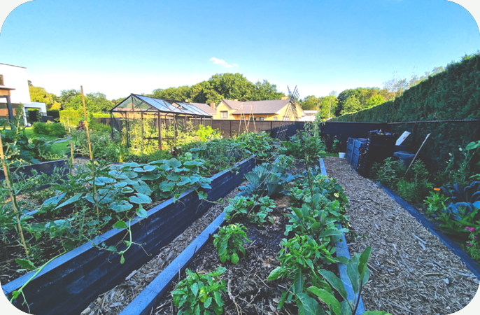 Moestuinieren in verhoogde bakken